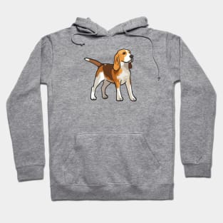 Beagle Dog Hoodie